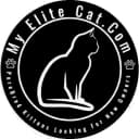My Elite Cat